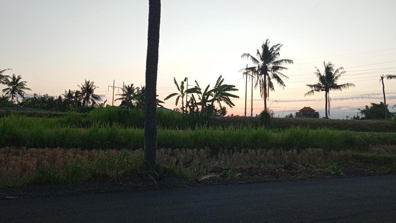 Neny'S Homestay Saba Exterior photo